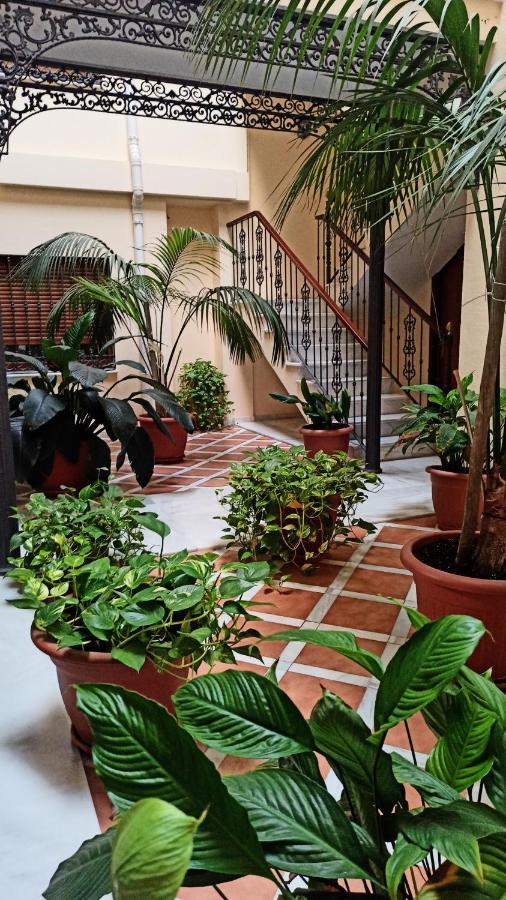 Botanic Suite Málaga Exterior foto
